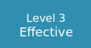 level 3