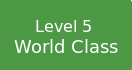 level 5